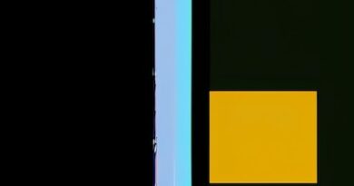 Pixel 9 Pro Fold vs. OnePlus Open: A Closer Look at the Striking Similarities